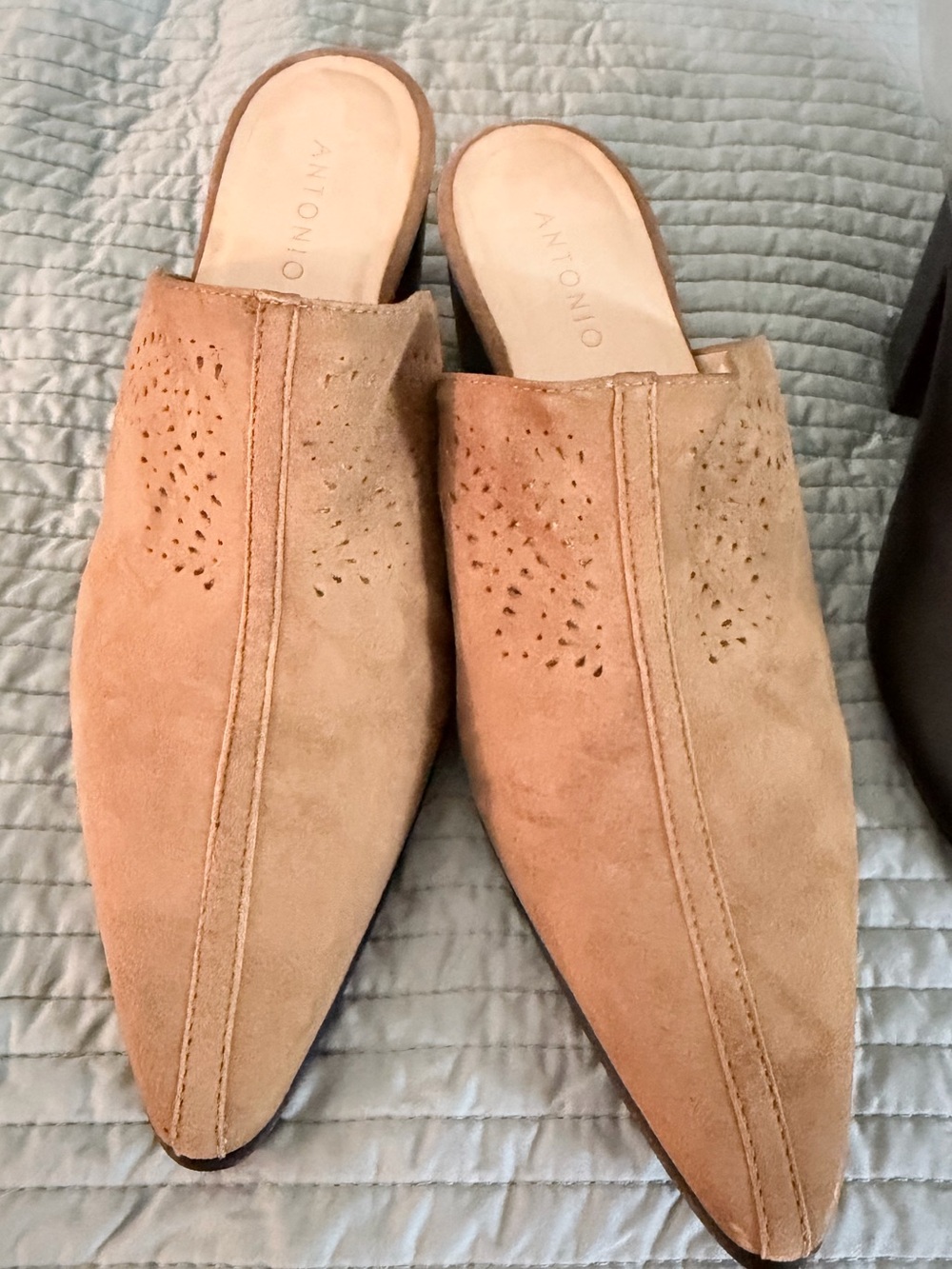 ANTONIO MELANI Beige/Tan Suede Pointed-Toe Perforated Mule